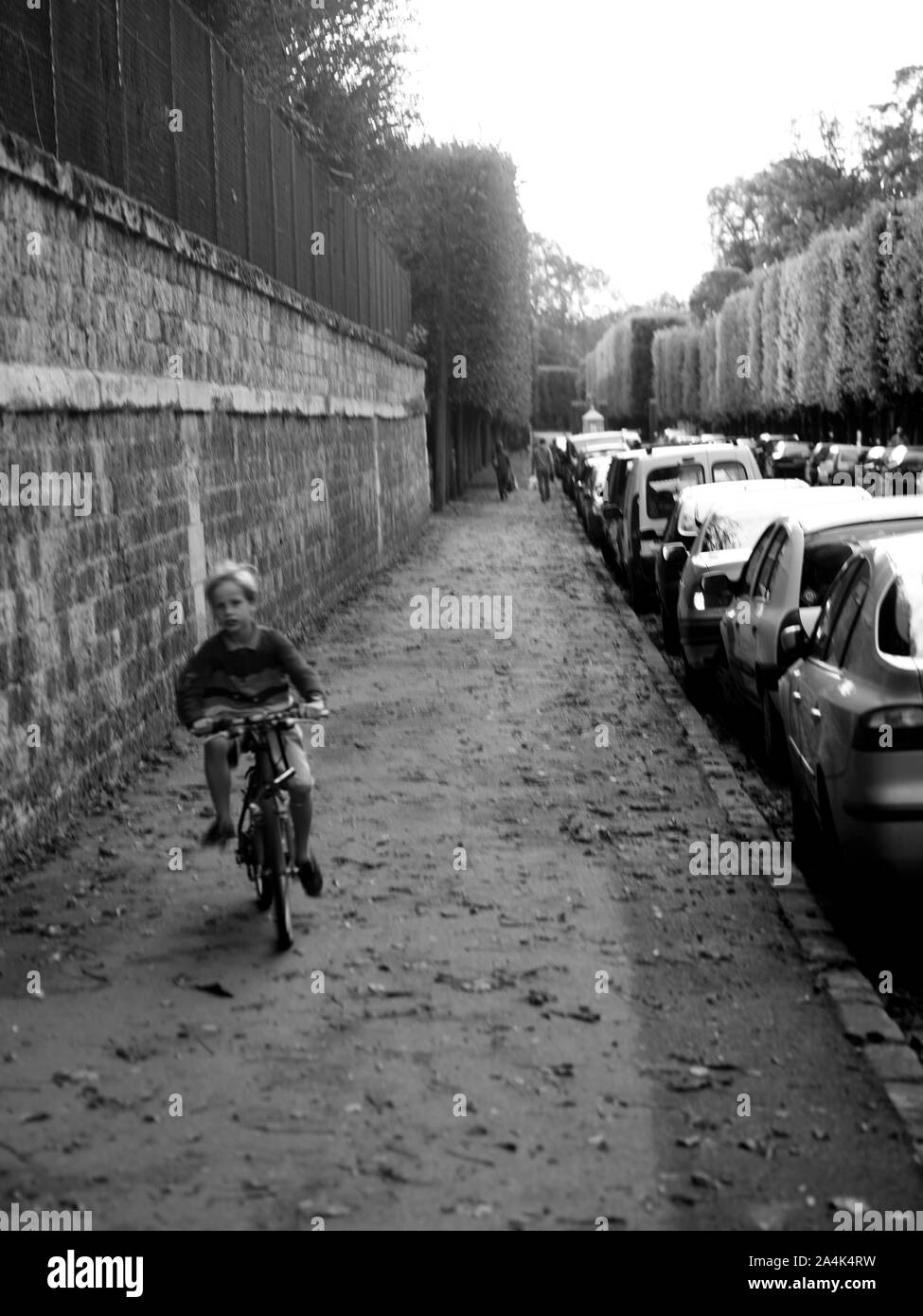 Voitures garées dans la rue Banque D'Images