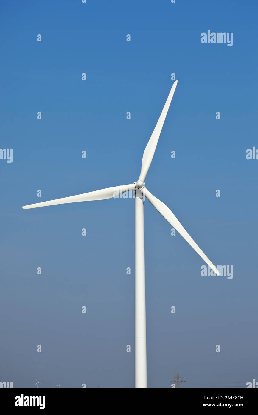 Ferme éolienne. La vie en vert Banque D'Images Ferme éolienne. La vie en vert Banque D'Images