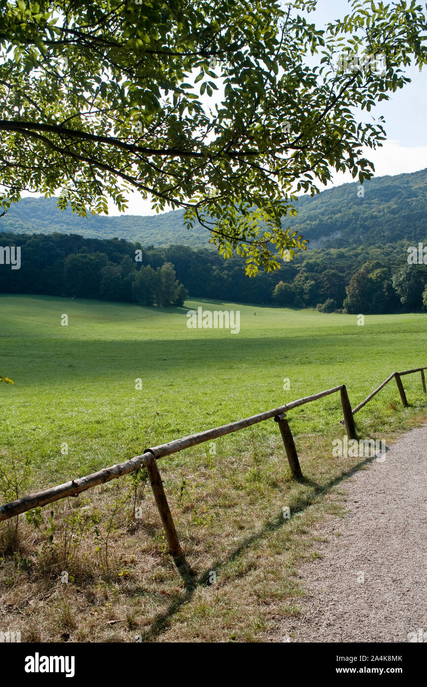 Pré vert en Europe centrale Banque D'Images