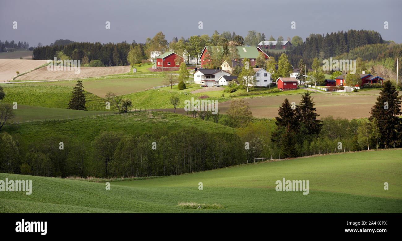 Paysage cultivé, Gjerdrum, Nittedal Banque D'Images