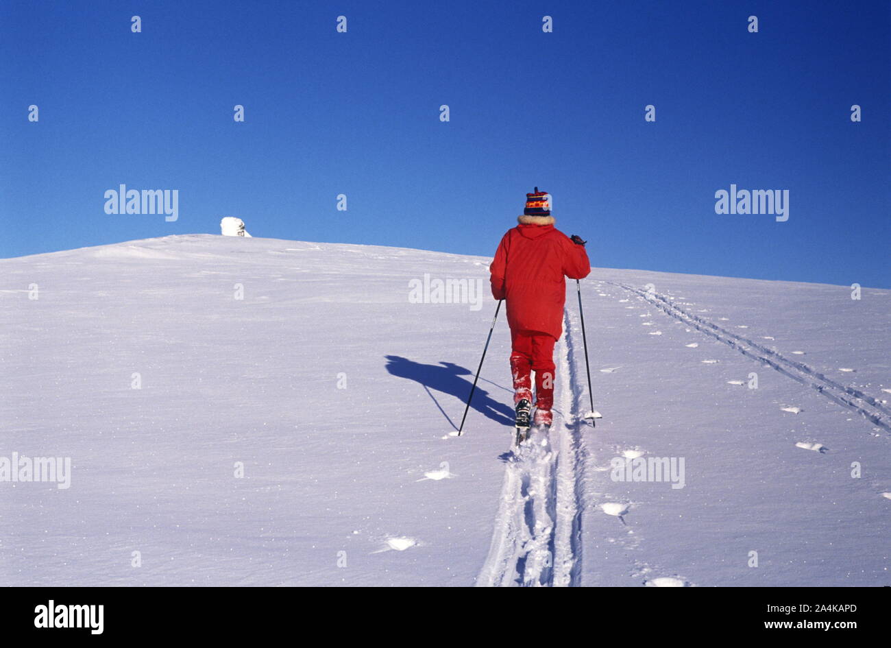 Le ski en Norvège Banque D'Images