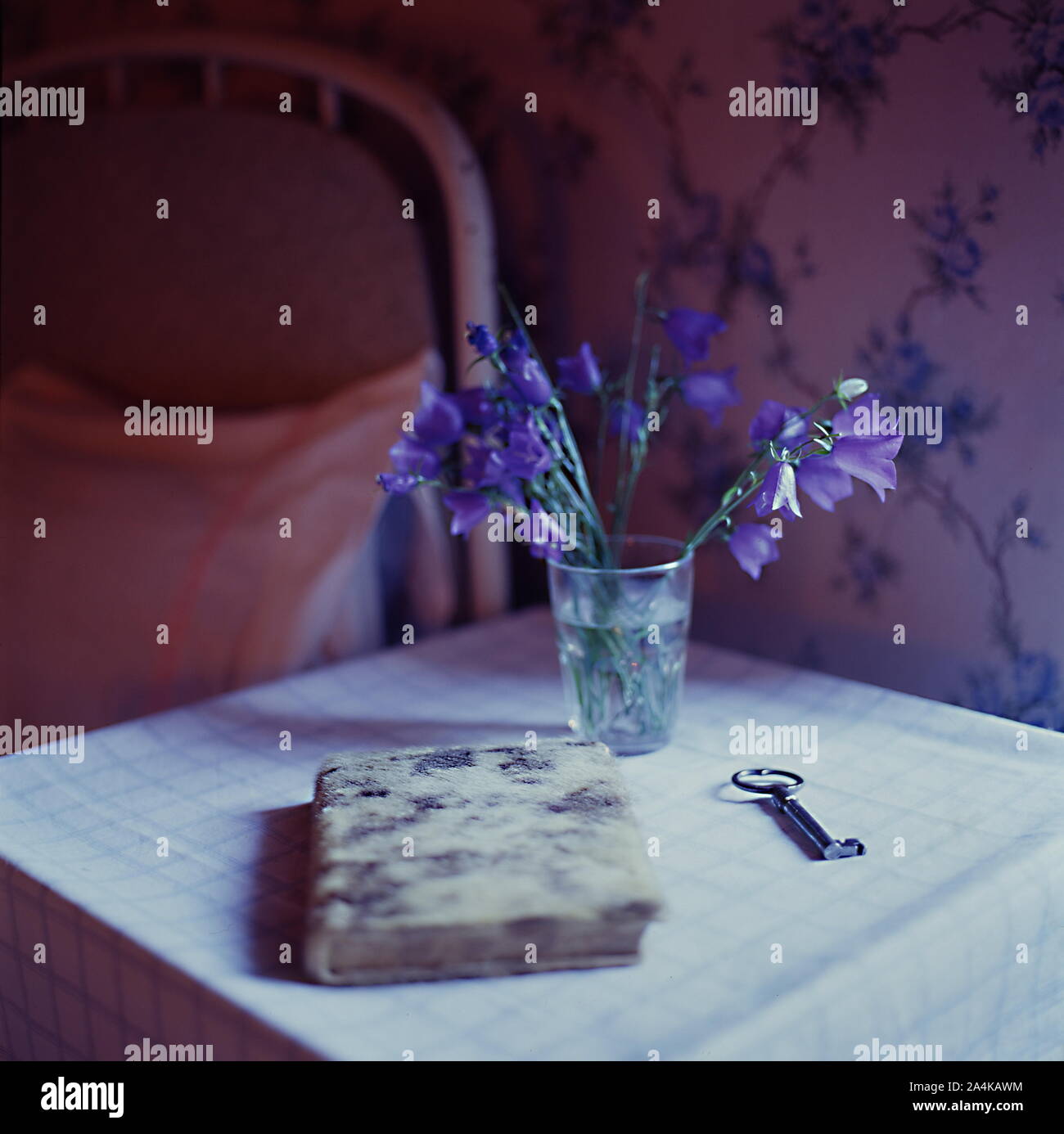 Un journal romantique Banque D'Images