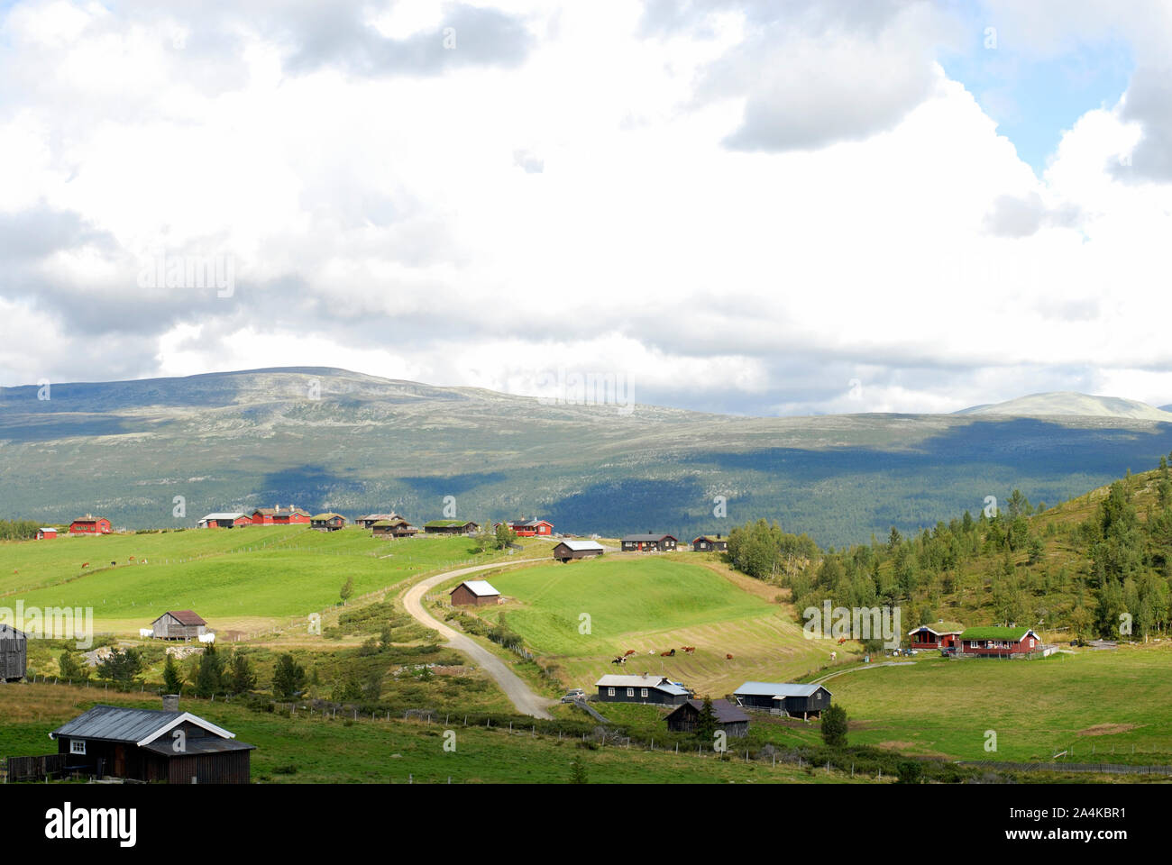Une partie de la zone de montagne de Rondane Banque D'Images