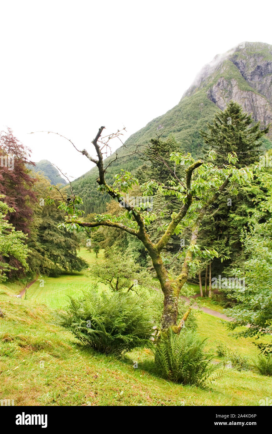 Dans Baroniet Rosendal. Banque D'Images