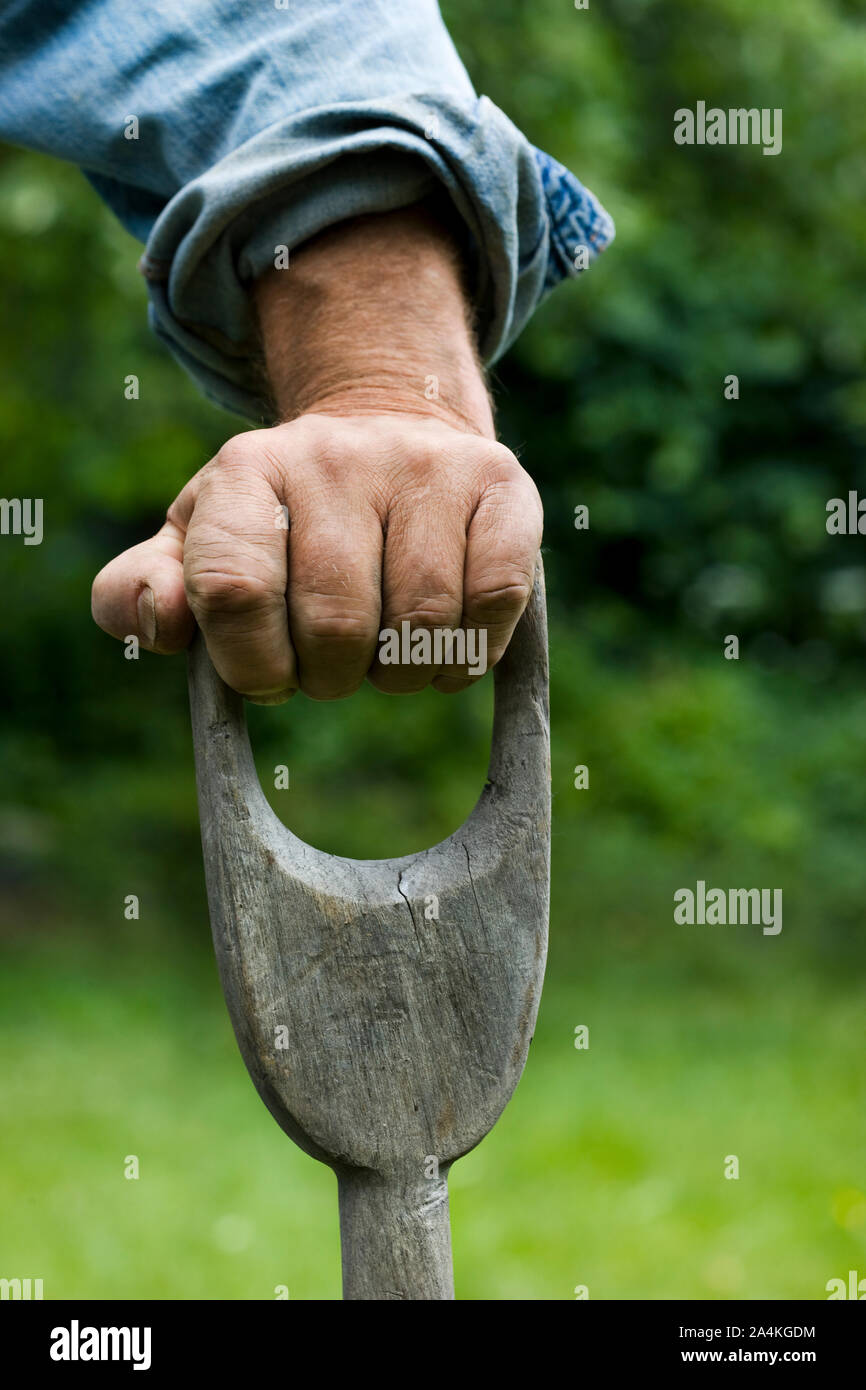 Man gardening - tenue d'un chat Banque D'Images