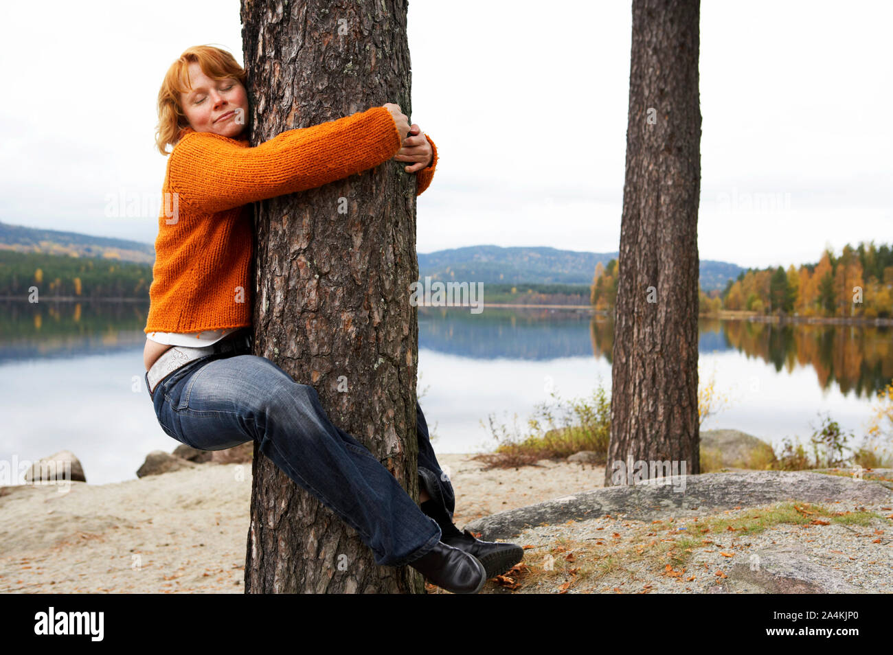 Woman hugging a tree hugger arbre/tree huggers Banque D'Images