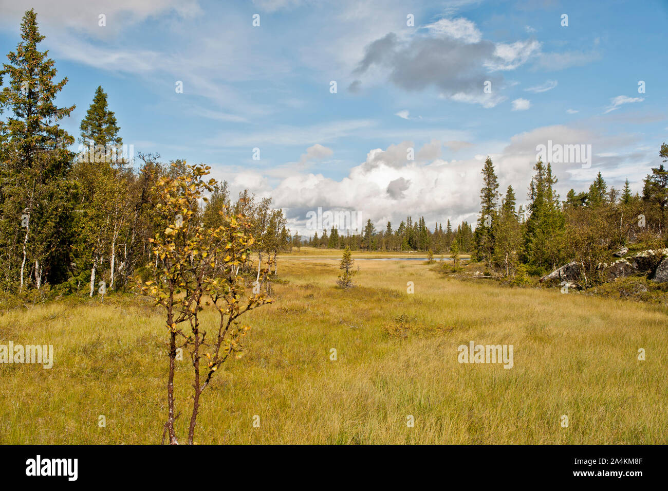 La Norvège, Buskerud, Hemsedal Banque D'Images