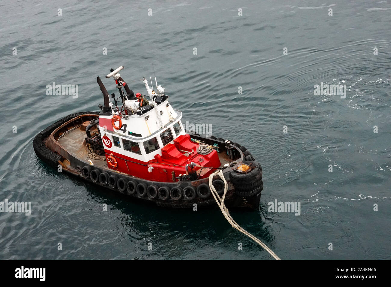 Victoria/Canada-9/14/19 : un remorqueur tire le voile d'amarrage d'un navire de croisière au quai d'être ligoté. Banque D'Images