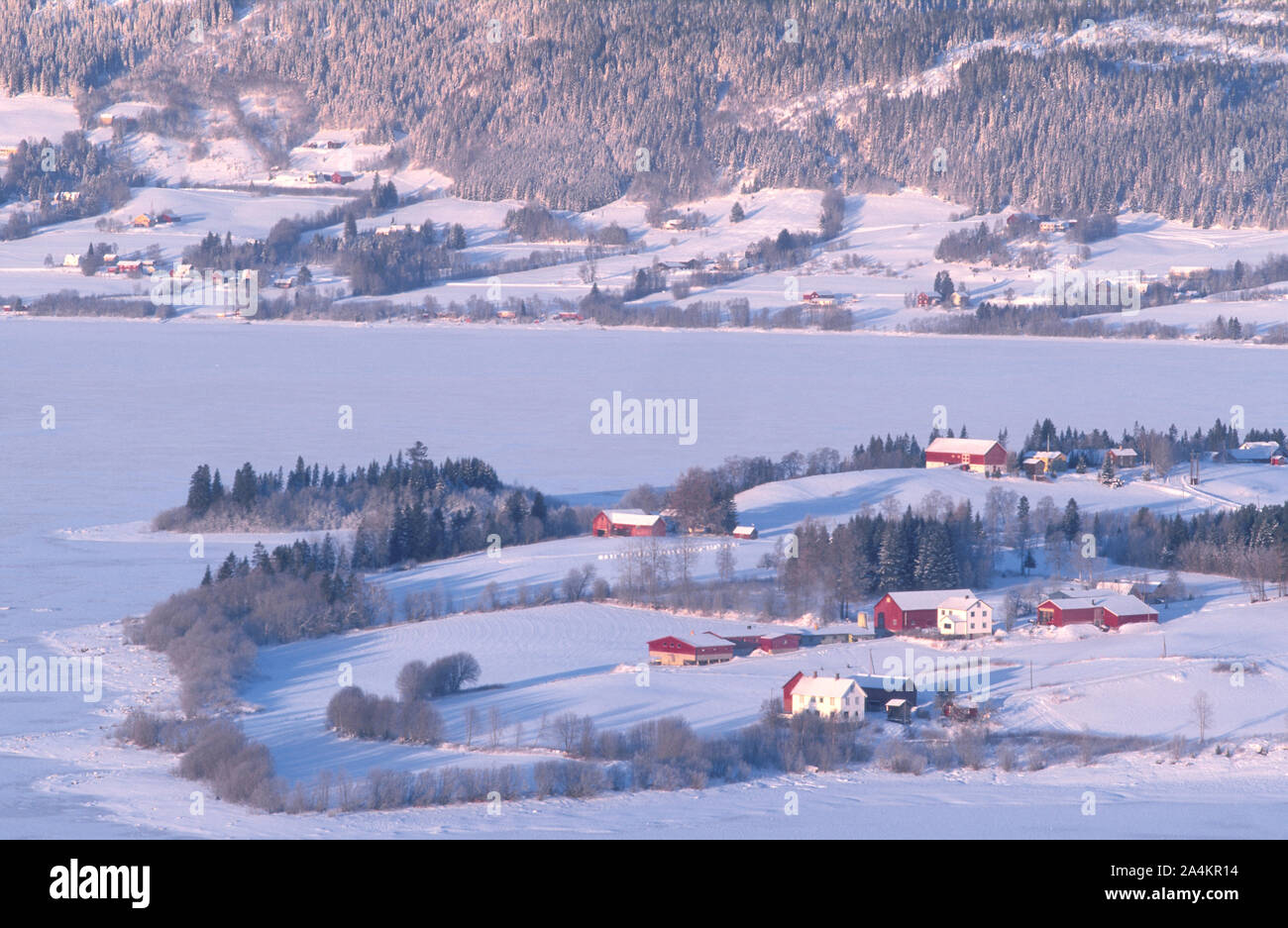 Vue sur le lac Selbusjøen et Selbustrand. Banque D'Images
