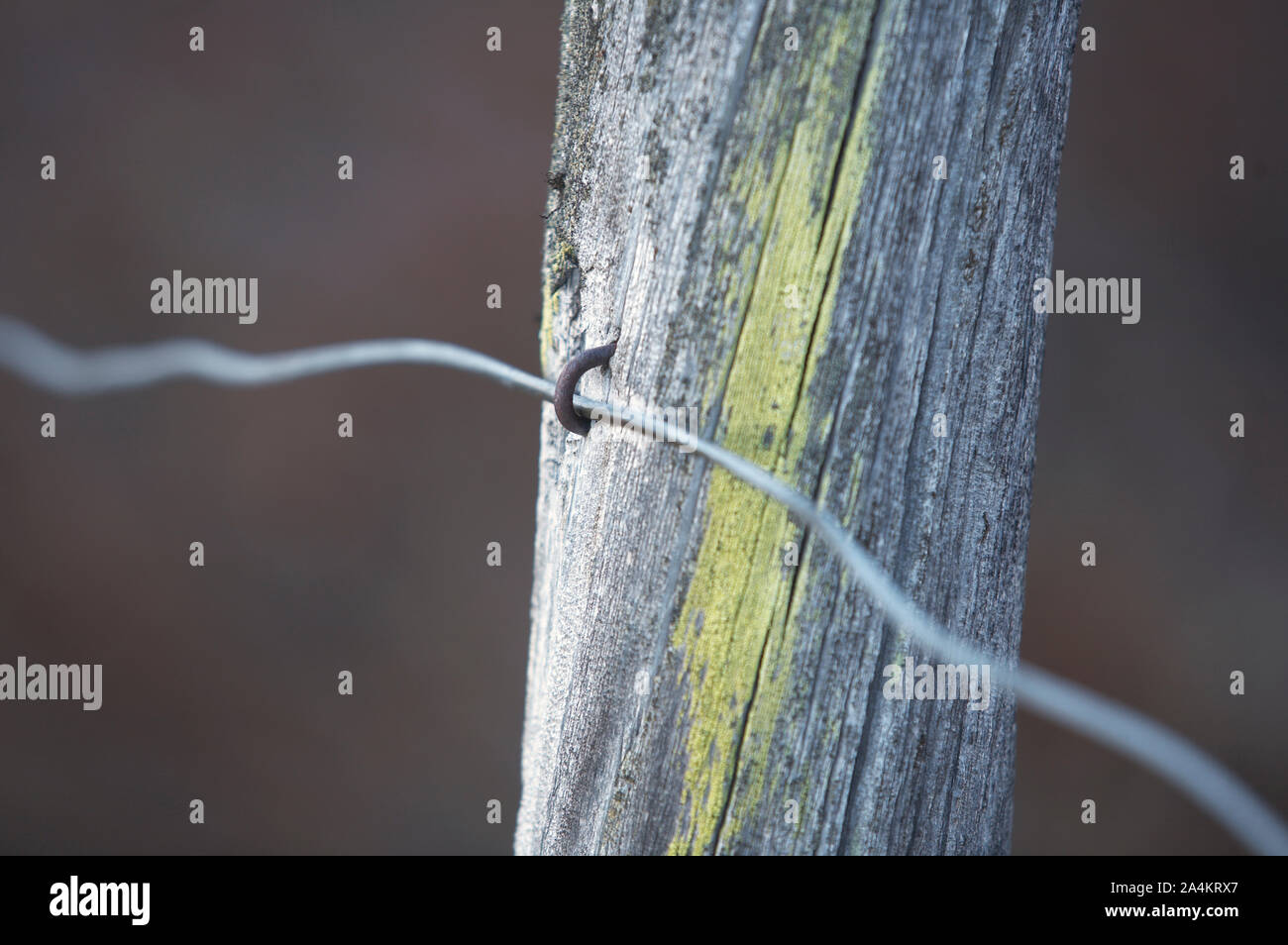 Vieille clôture pale. Pôle. Banque D'Images