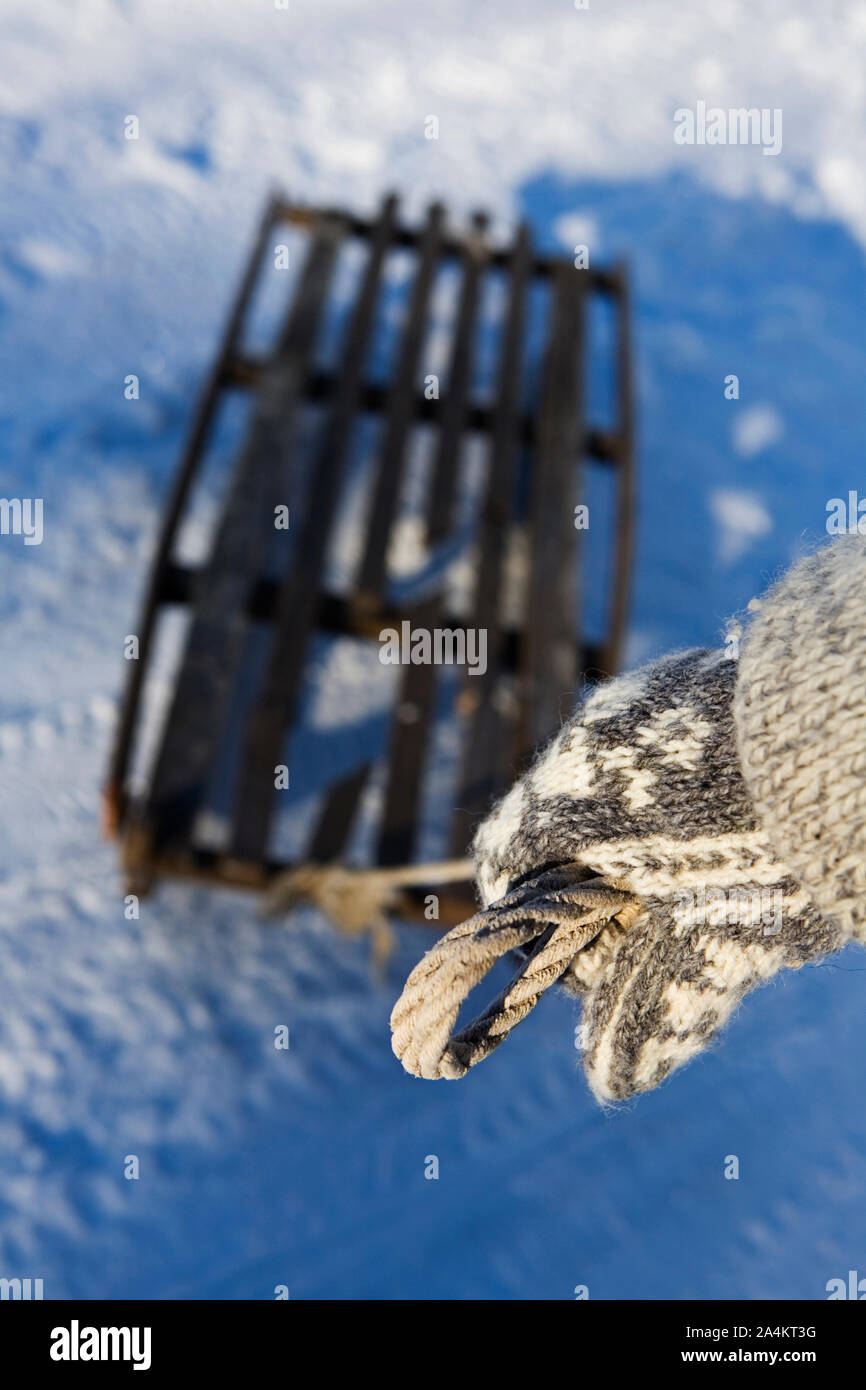 Tiré de traîneau Banque D'Images