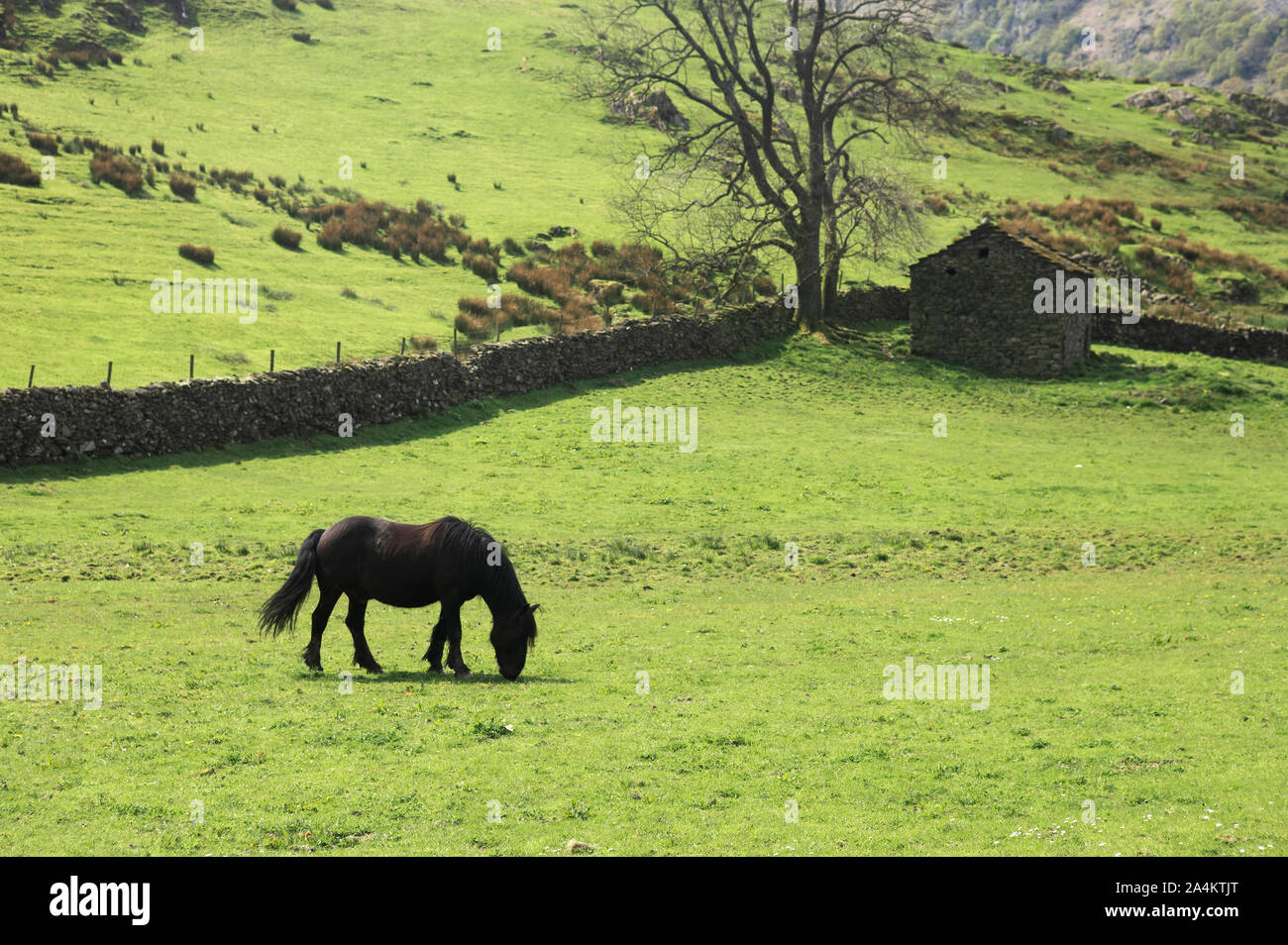 Le paysage culturel, les terres cultivées dans le Nord de l'Angleterre Banque D'Images