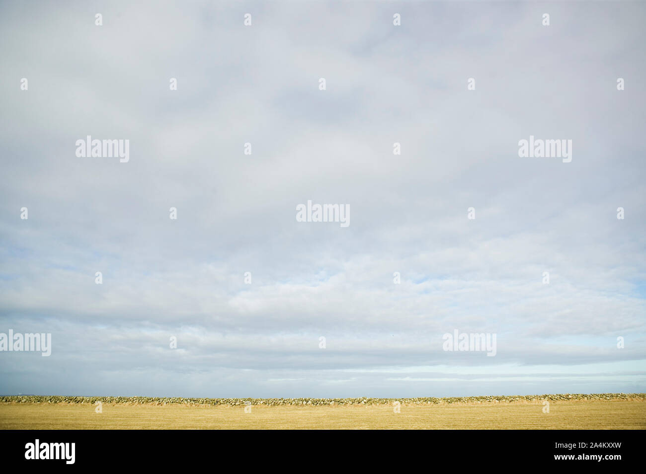 Ciel et champ de Sola Banque D'Images