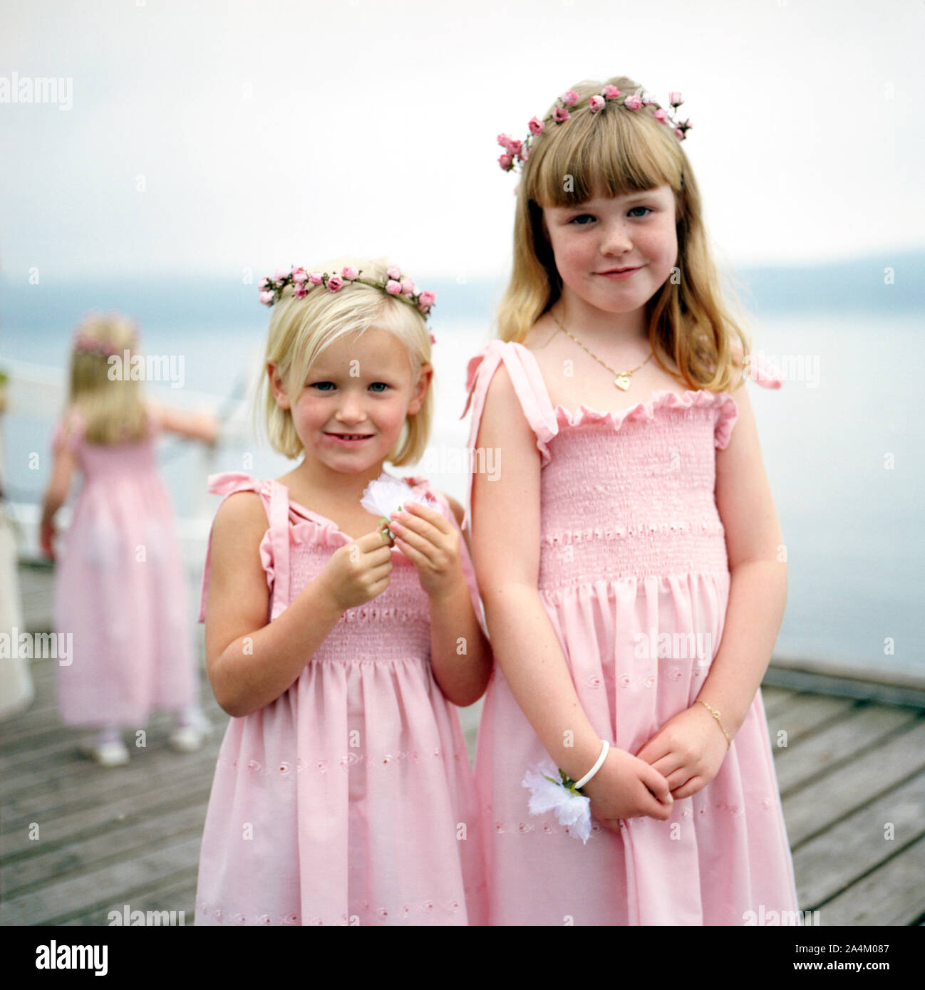 Demoiselles d’honneur Banque D'Images