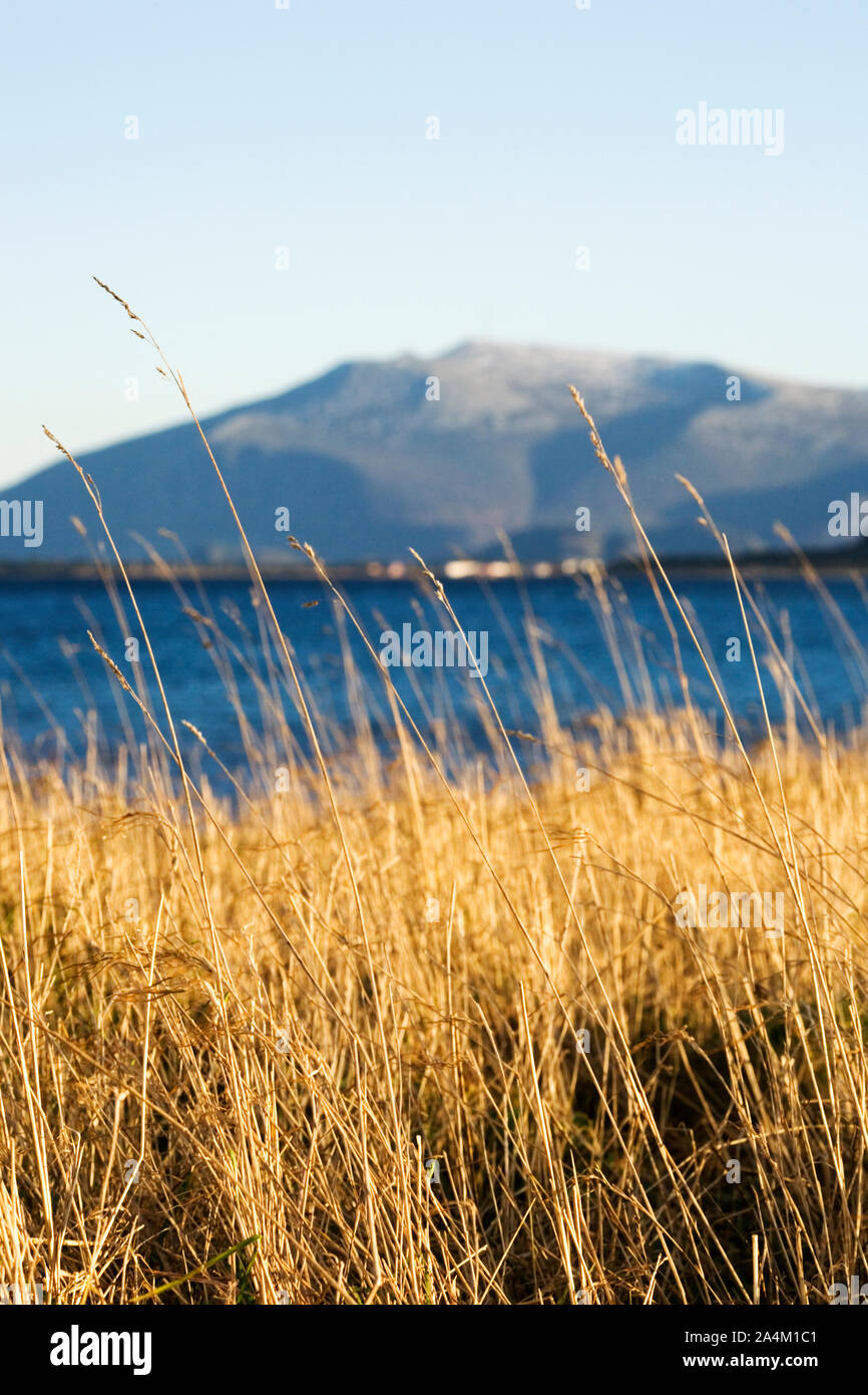 Vue de Giske vers Gamlemsveten Banque D'Images