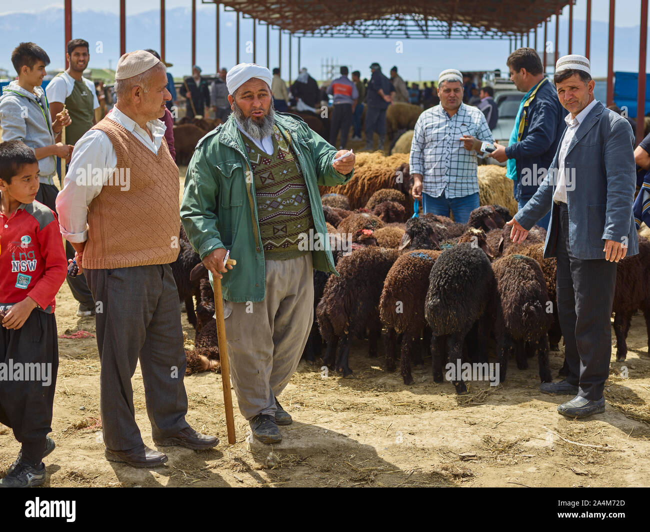 Scène à un marché de bétail en Aq Qaleh près de Gorgan dans le nord de l'Iran, prise le 19.04.2018. Dans le monde d'utilisation | Banque D'Images