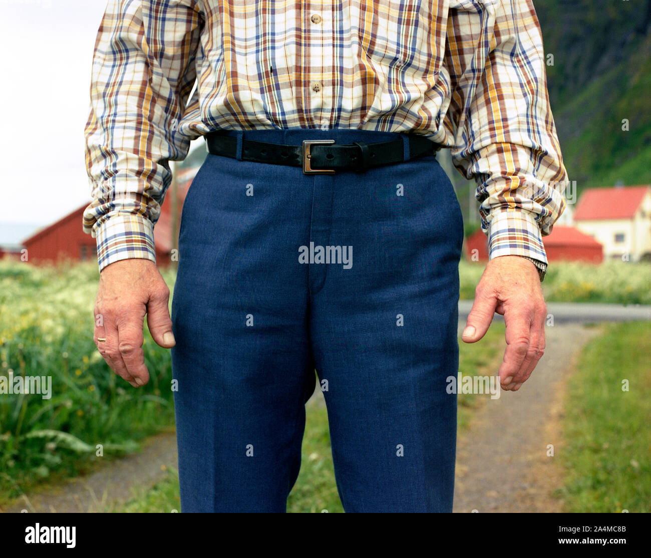 L'agriculture dans les Lofoten Banque D'Images