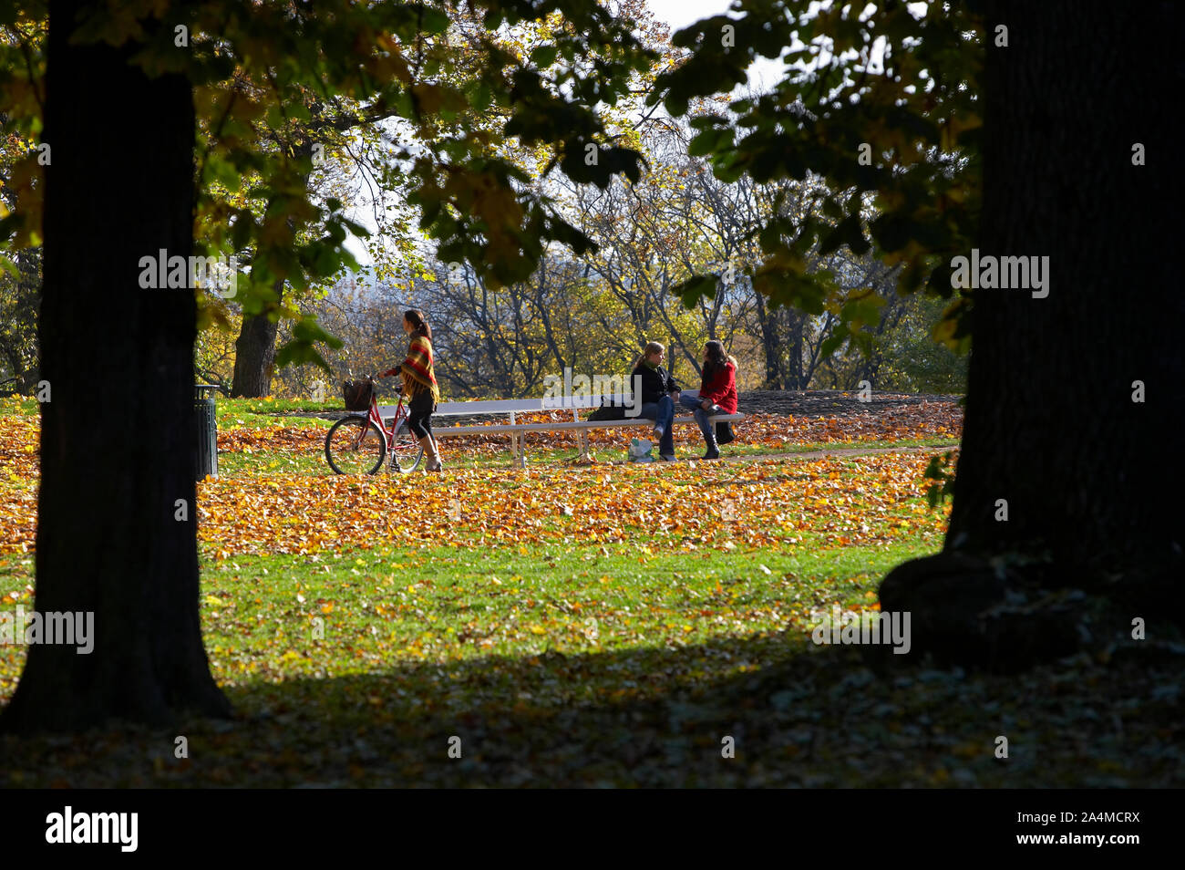 Le Château Royal Park, Oslo. Banque D'Images