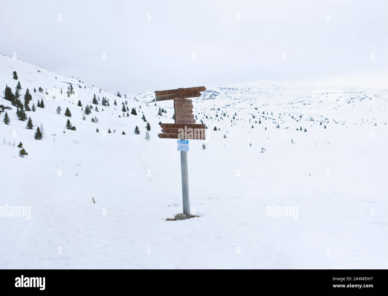 Zone Sulseter la montagne en Norvège Banque D'Images
