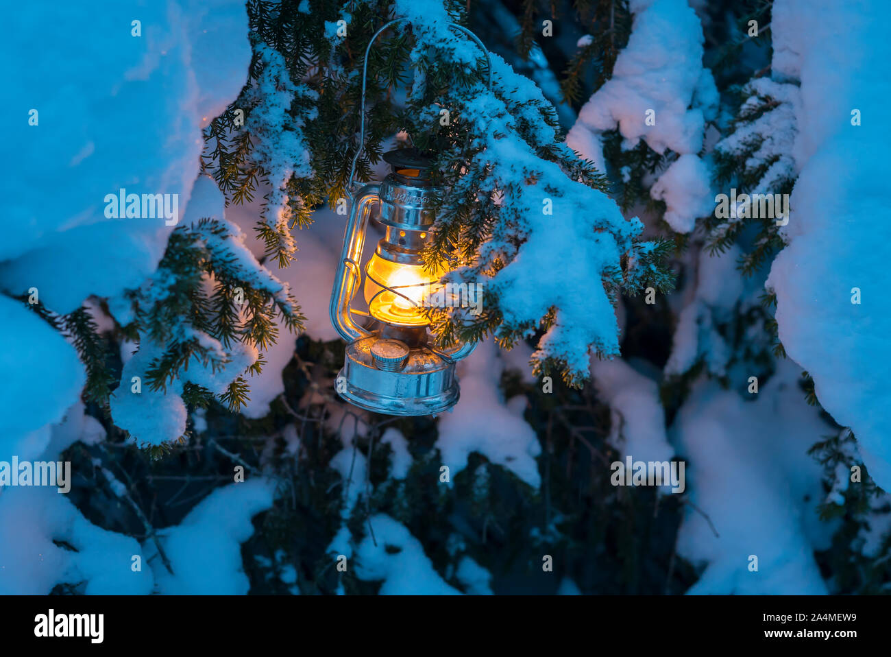 Lanterne on tree Banque D'Images