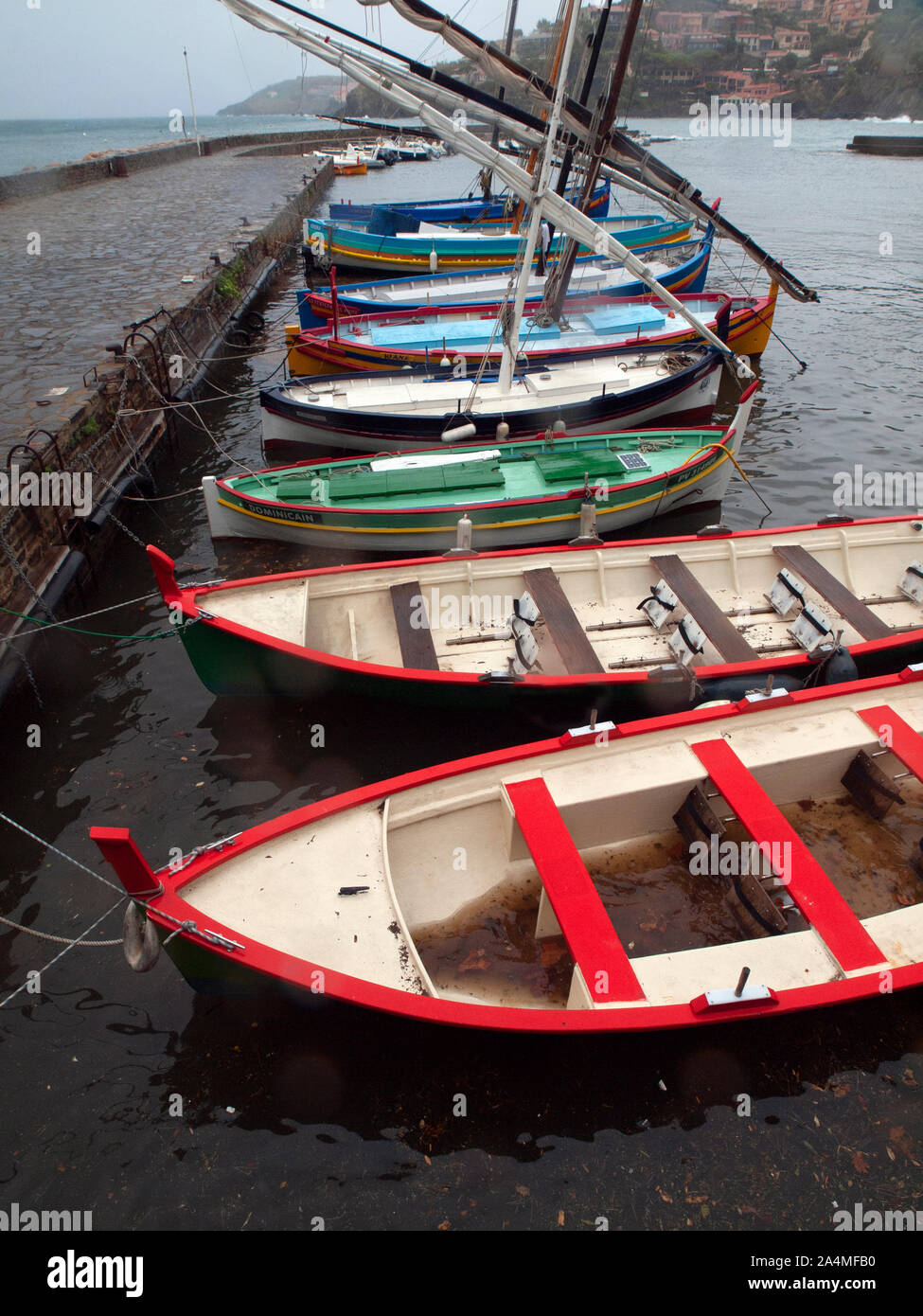 Bateaux de pêche colorés dans le port de Collioure, dans le sud de la France Banque D'Images