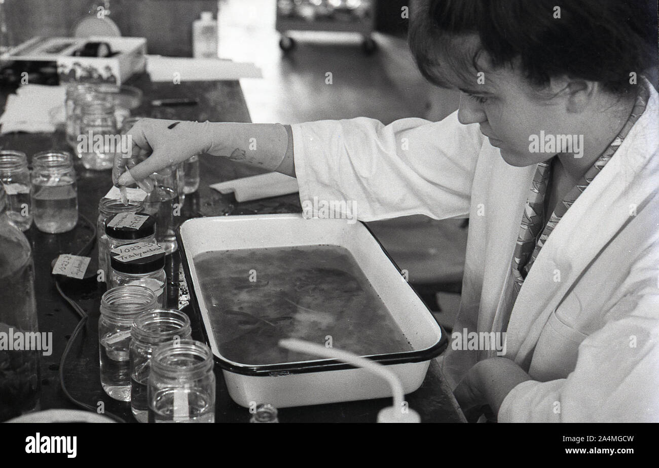 Années 1960, historique, un étudiant d'université dans un laboratoire de sciences, le travail avec un bol en céramique métal et un certain nombre de pots de verre faisant des expériences avec différents liquides, USA. Banque D'Images