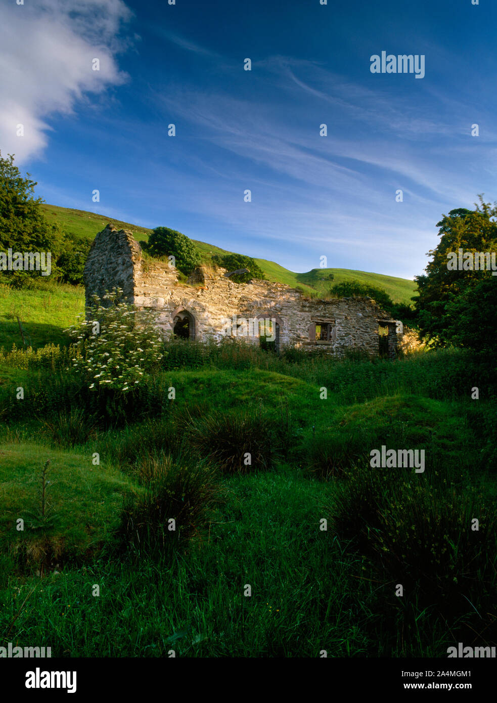 À la SSW uphill lors d'un terrassement rectangulaire gorgés d'une énigmatique et bâtiment en ruine à Fron Uchaf sur flanc NW inférieur de Moel y Parc, Denbighshire. Banque D'Images