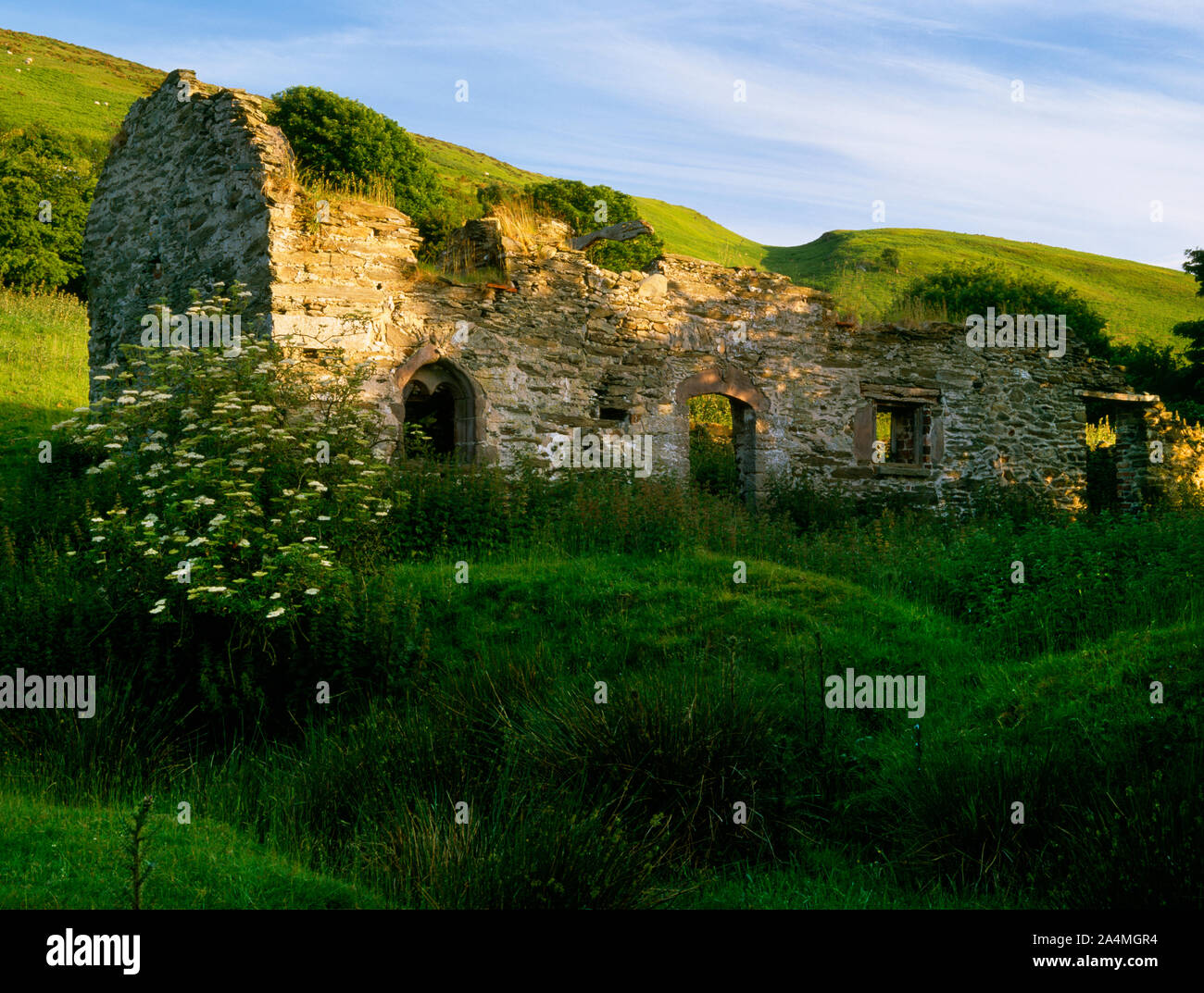 À la SSW uphill lors d'un terrassement rectangulaire gorgés d'énigmatiques et bâtiment en ruine à Fron Uchaf sur flanc NW inférieur de Moel y Parc, Denbighshire, UK Banque D'Images