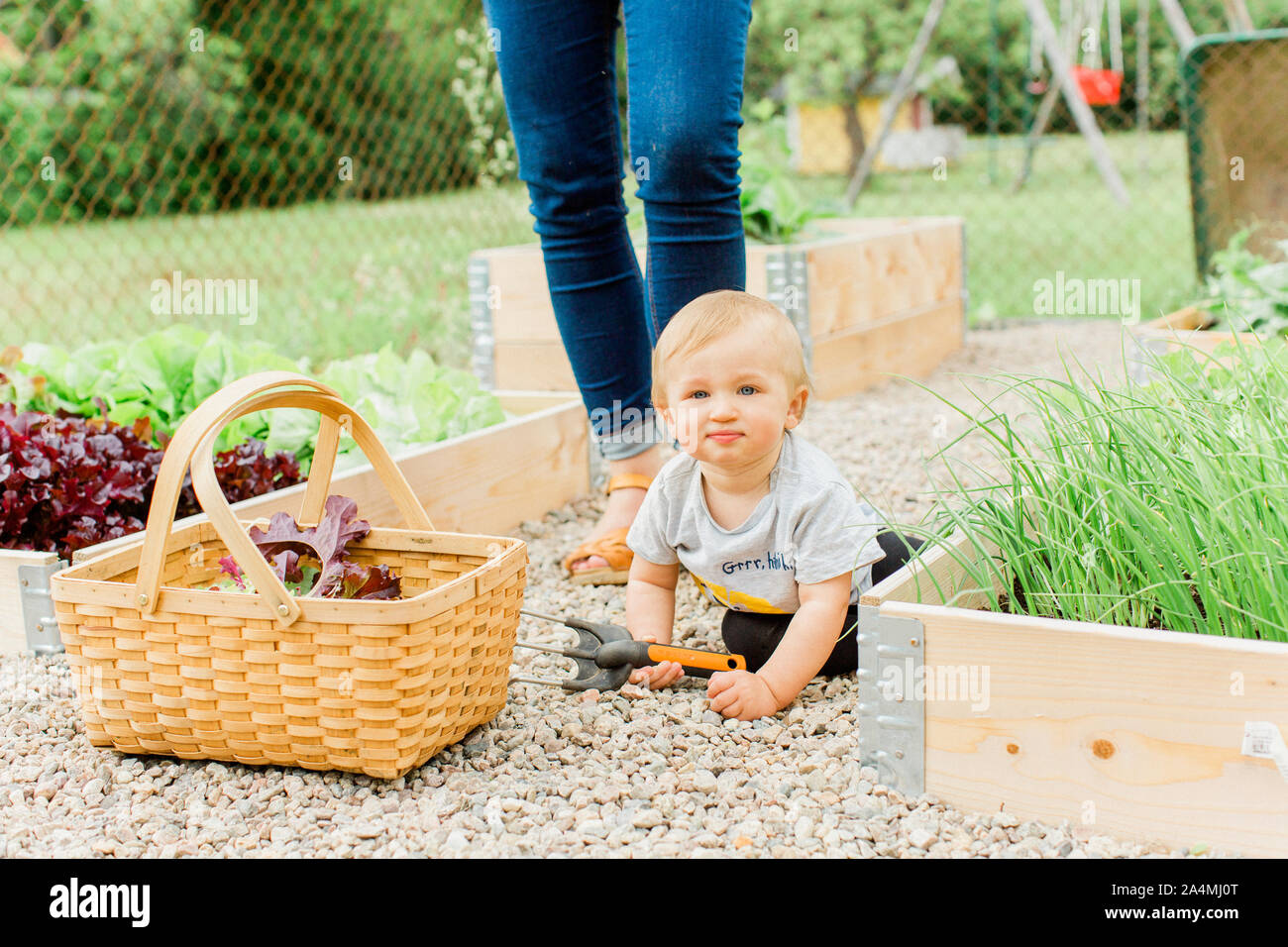 Baby Boy in garden Banque D'Images