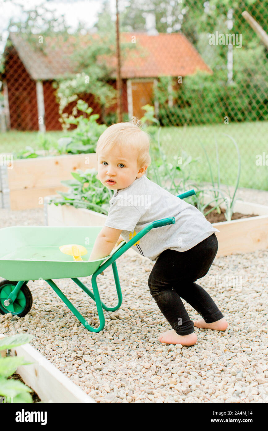 Baby Boy in garden Banque D'Images