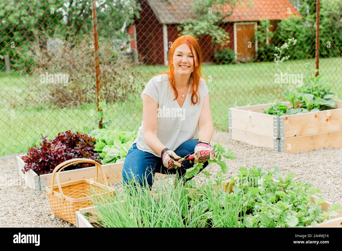 Woman working in garden Banque D'Images