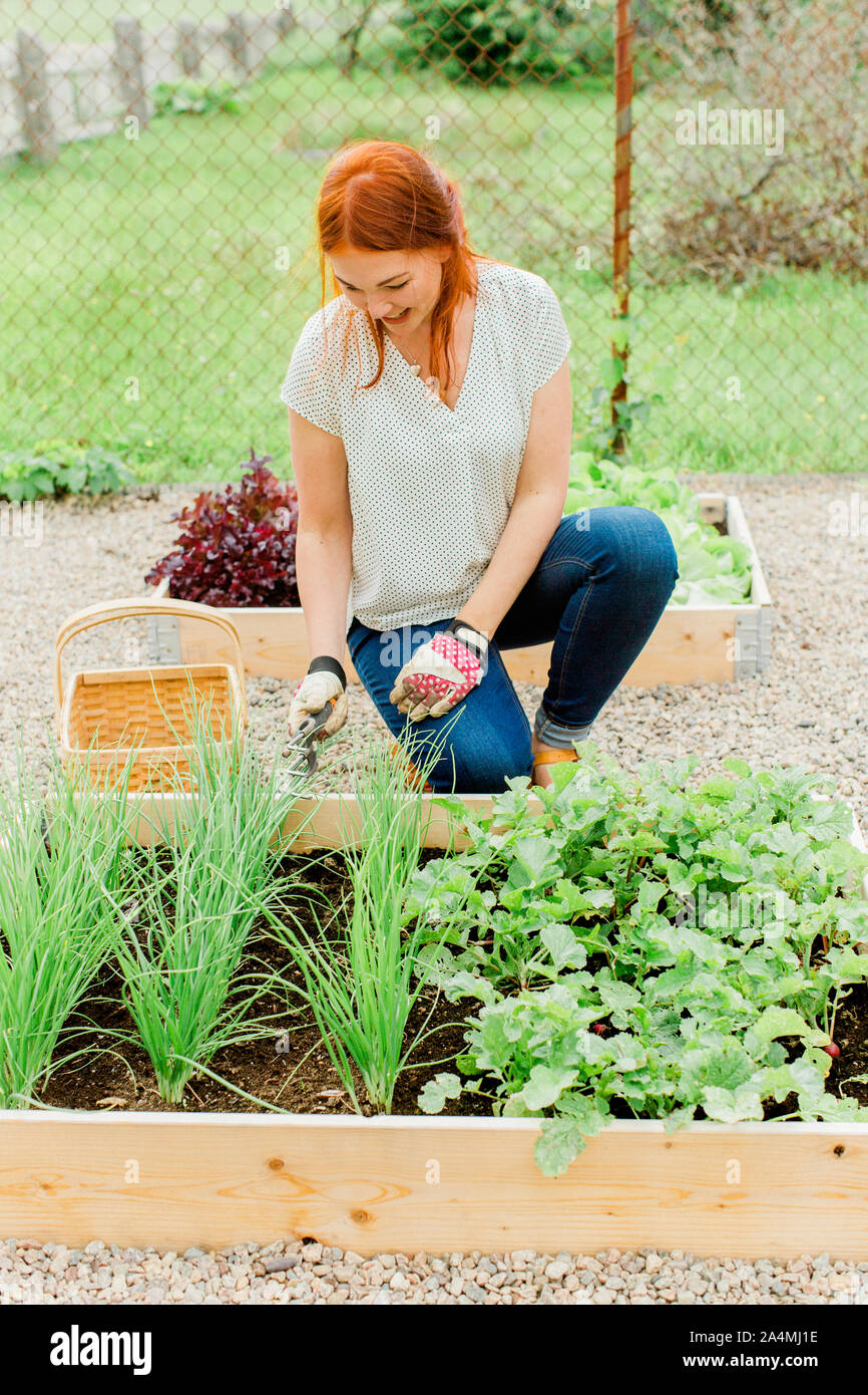 Woman working in garden Banque D'Images
