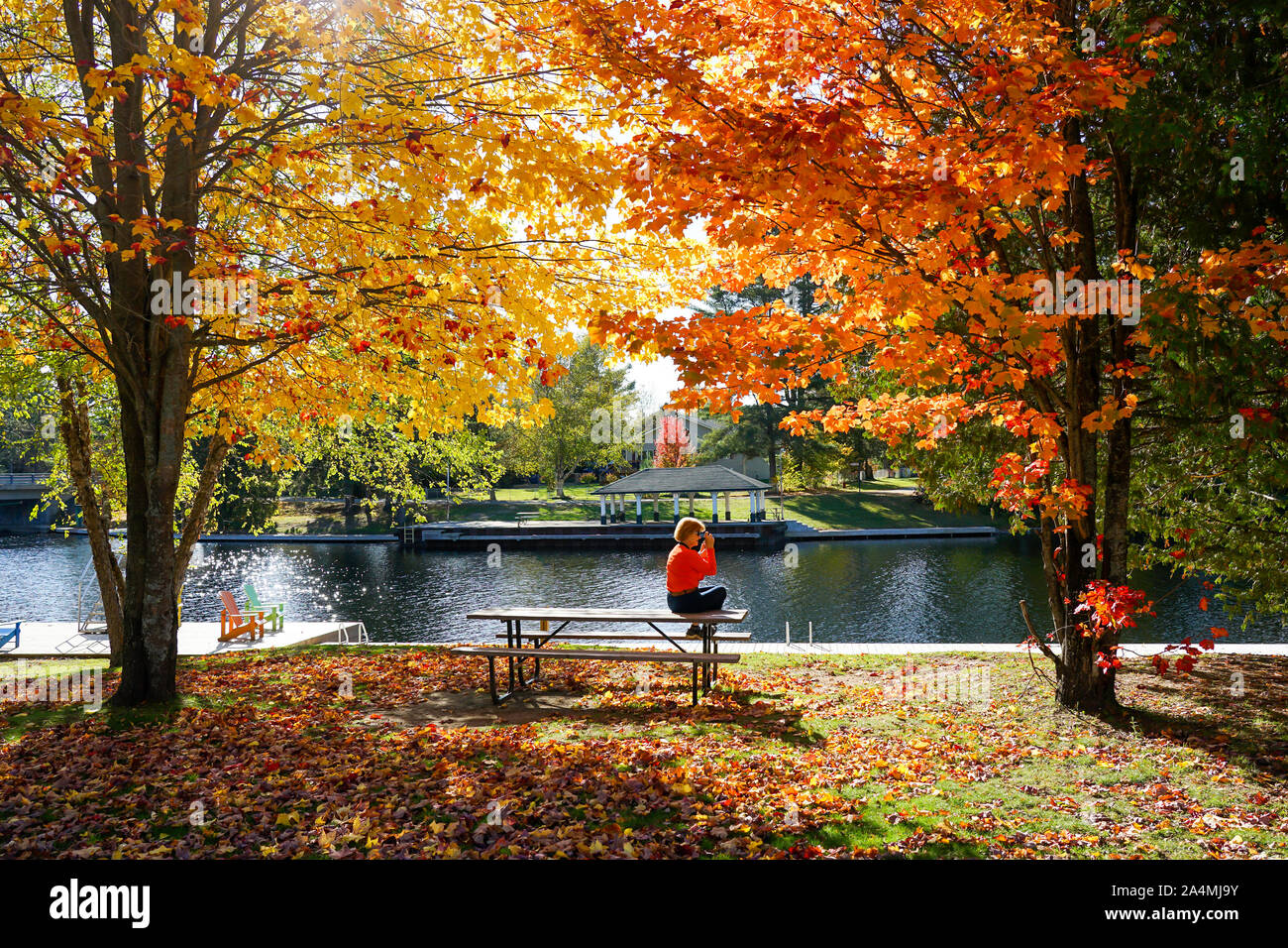 Marina de Baysville, en Ontario, au Canada, en Amérique du Nord dans le temps d'automne Banque D'Images