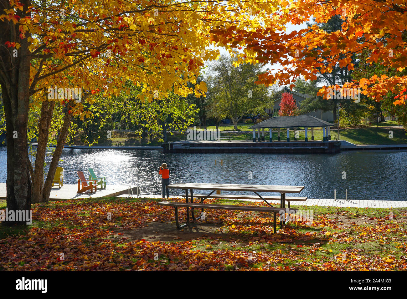 Scène d'automne dans la région de Baysville, et près de High Falls Bracebridge, Ontario, Canada à Muskoka et coloré avec de beaux arbres en automne. folige Banque D'Images