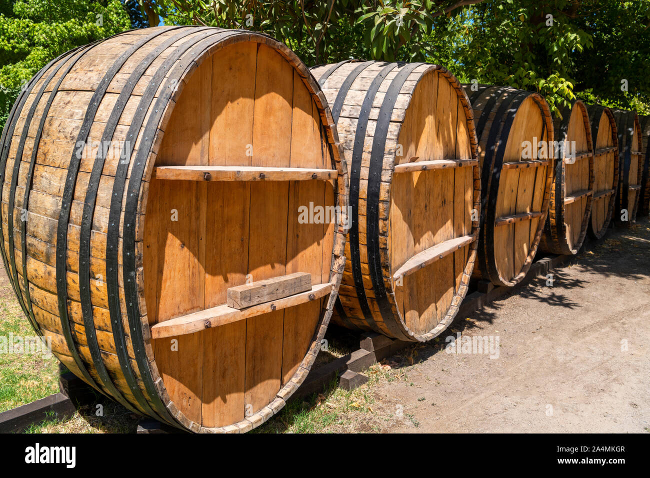 Des tonneaux de vin à la Concha y Toro Winery (Viña Concha y Toro), Pirque, Santiago, Chili, Amérique du Sud Banque D'Images