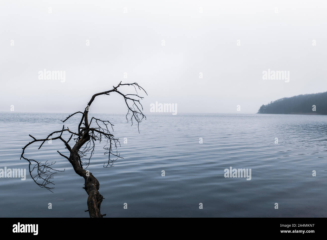 La succursale de lake Banque D'Images