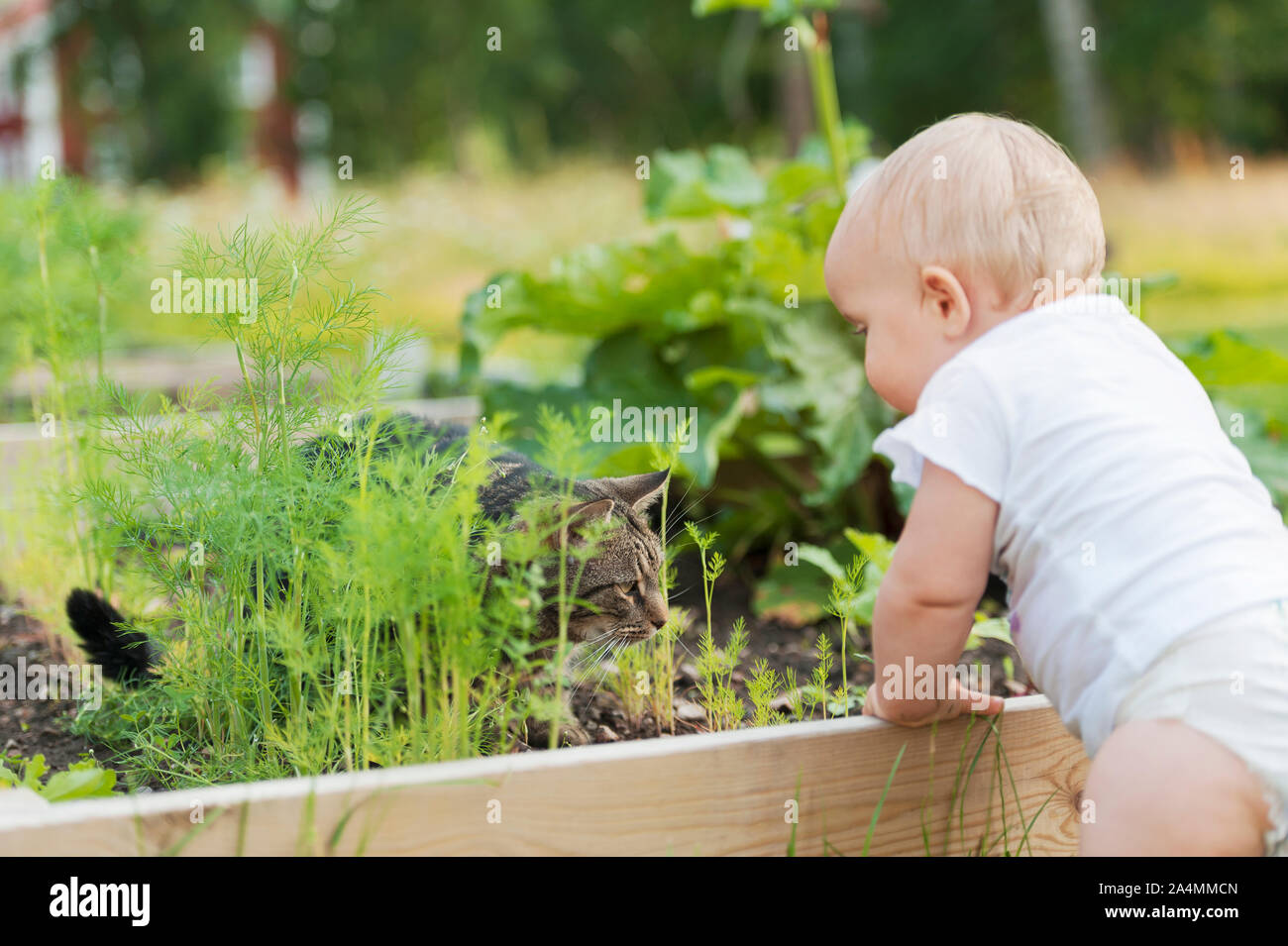 Bébé garçon au potager Banque D'Images