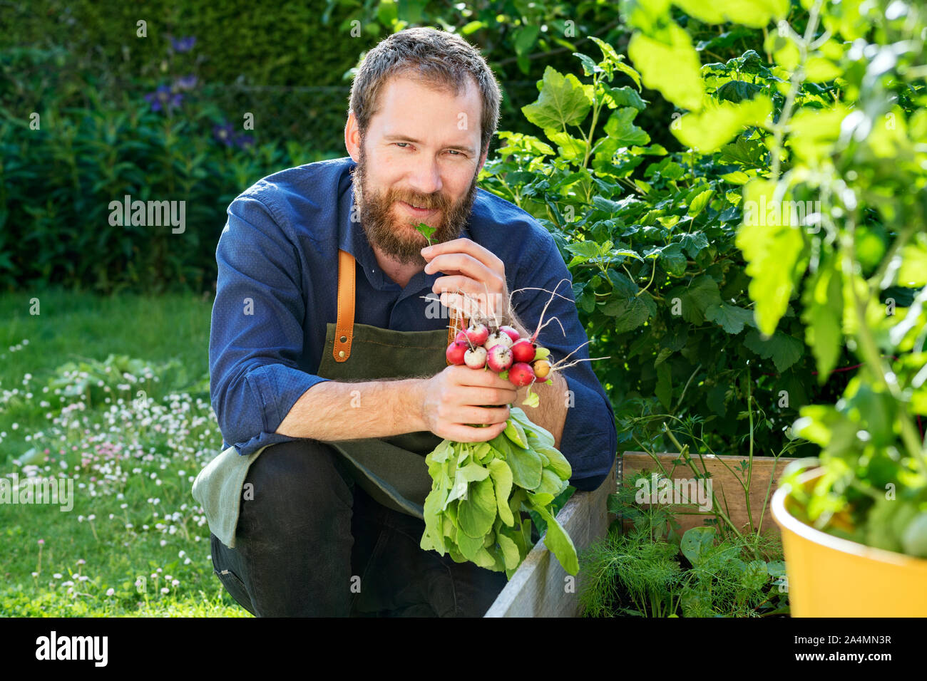 Homme dans le jardin Banque D'Images