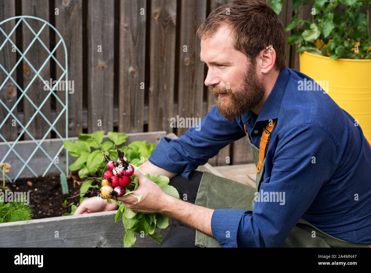 Homme dans le jardin Banque D'Images