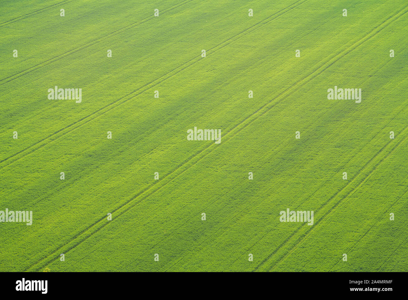 Terrain de football Banque D'Images