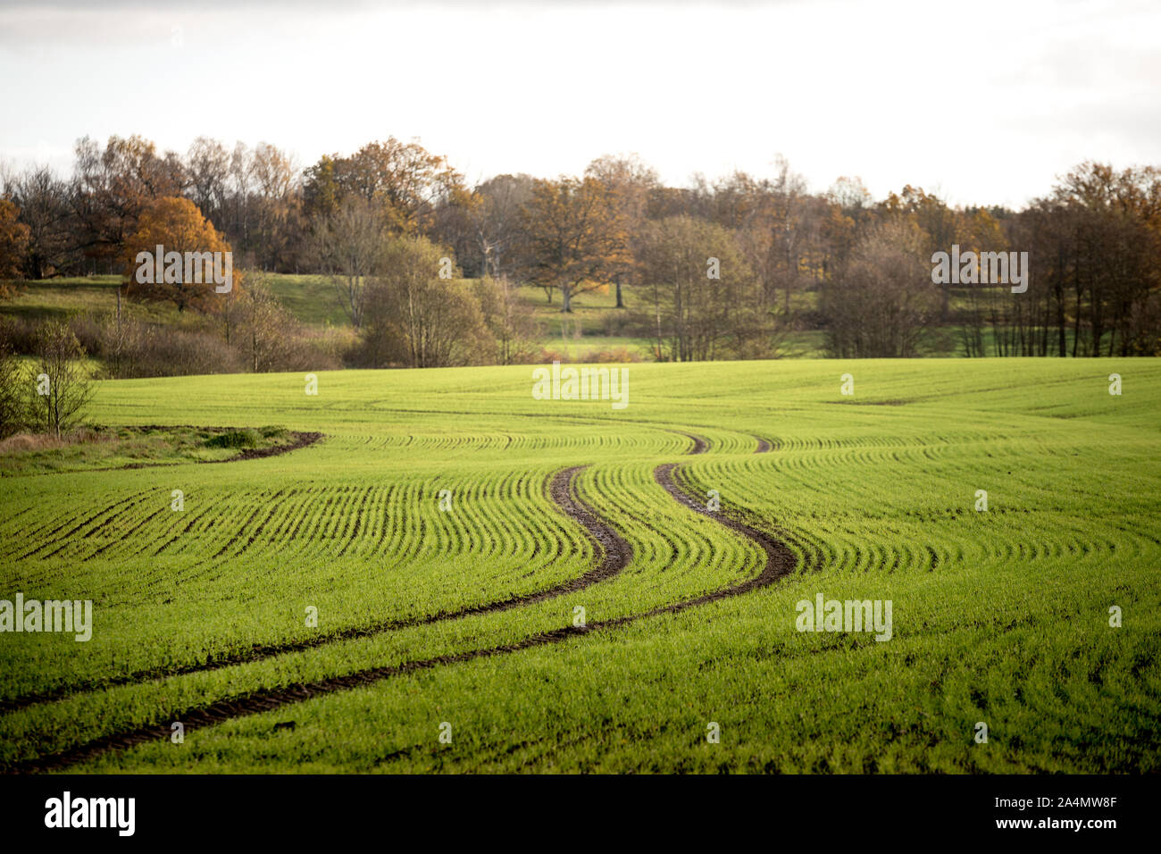 Vue du champ Banque D'Images