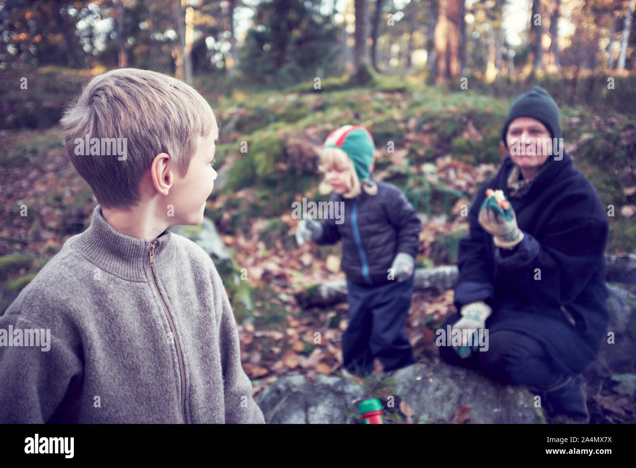 Grand-mère avec ses petits-enfants cueillette de champignons Banque D'Images