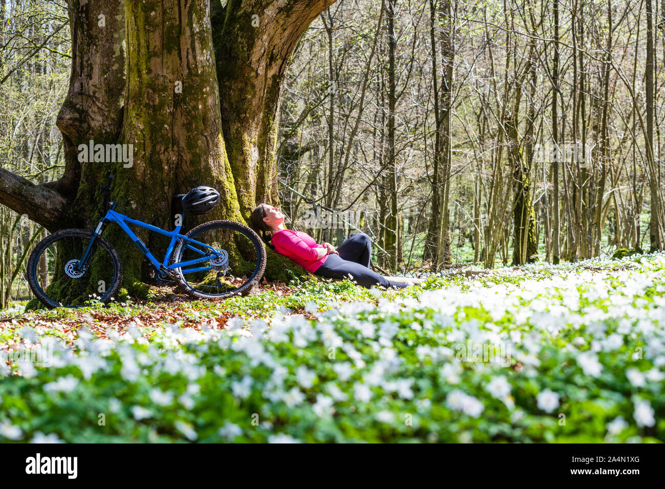 Cycliste au repos dans forest Banque D'Images Cycliste au repos dans forest Banque D'Images