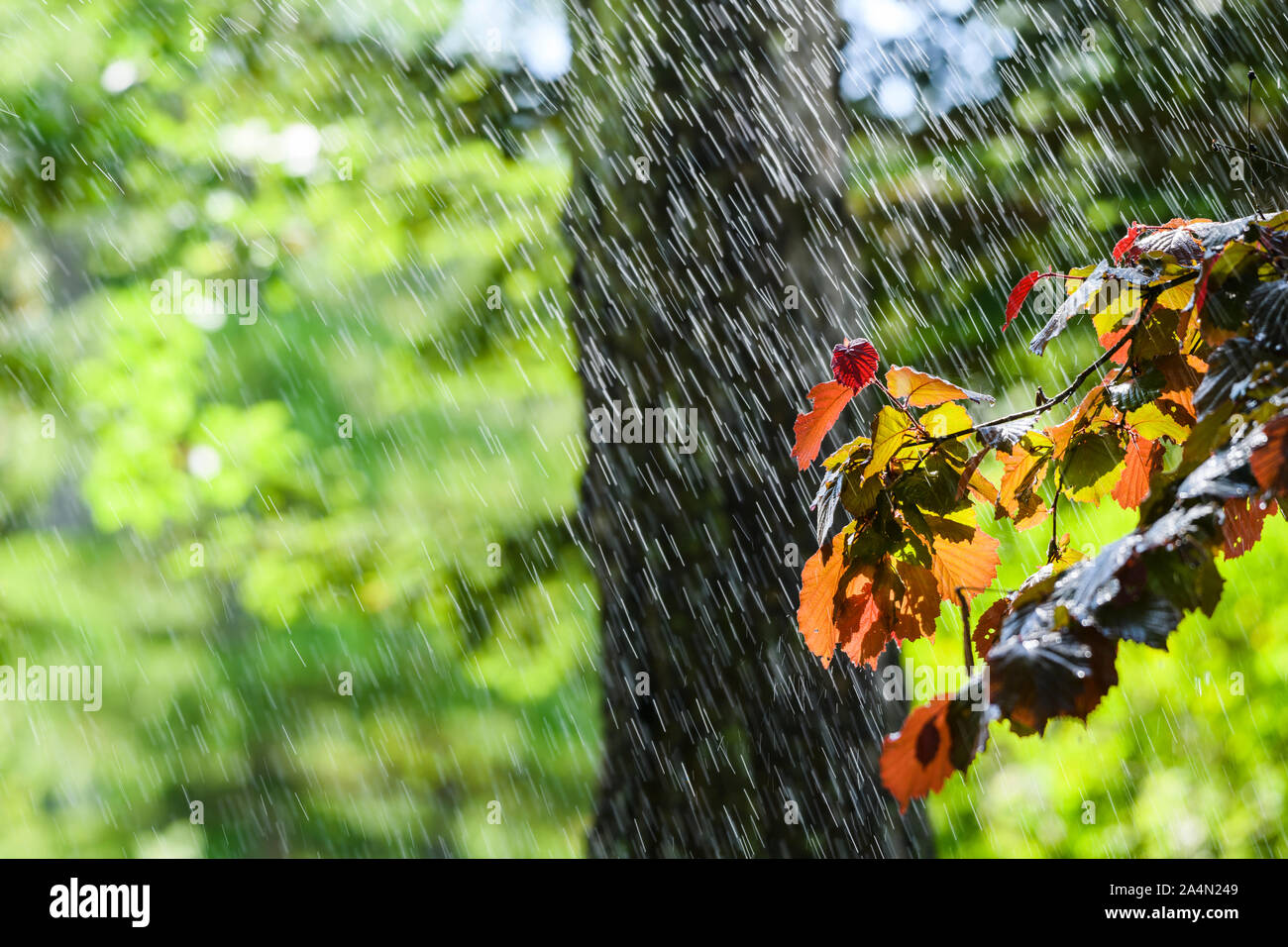 Jets d’arrosage Banque D'Images