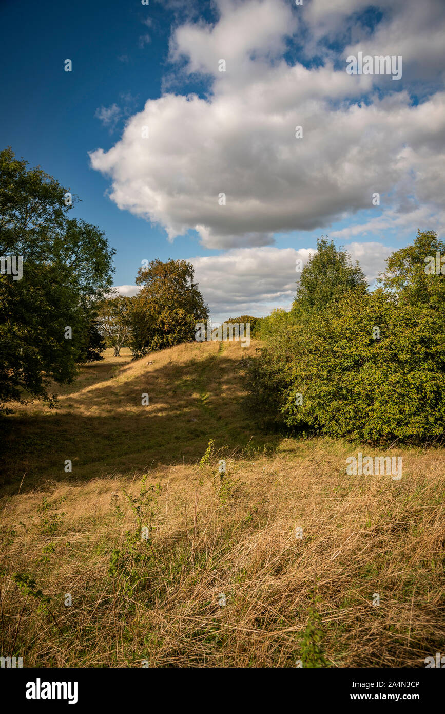 Le nouveau roi des castrats à Stonehenge, plaine de Salisbury, Wiltshire, Royaume-Uni Banque D'Images