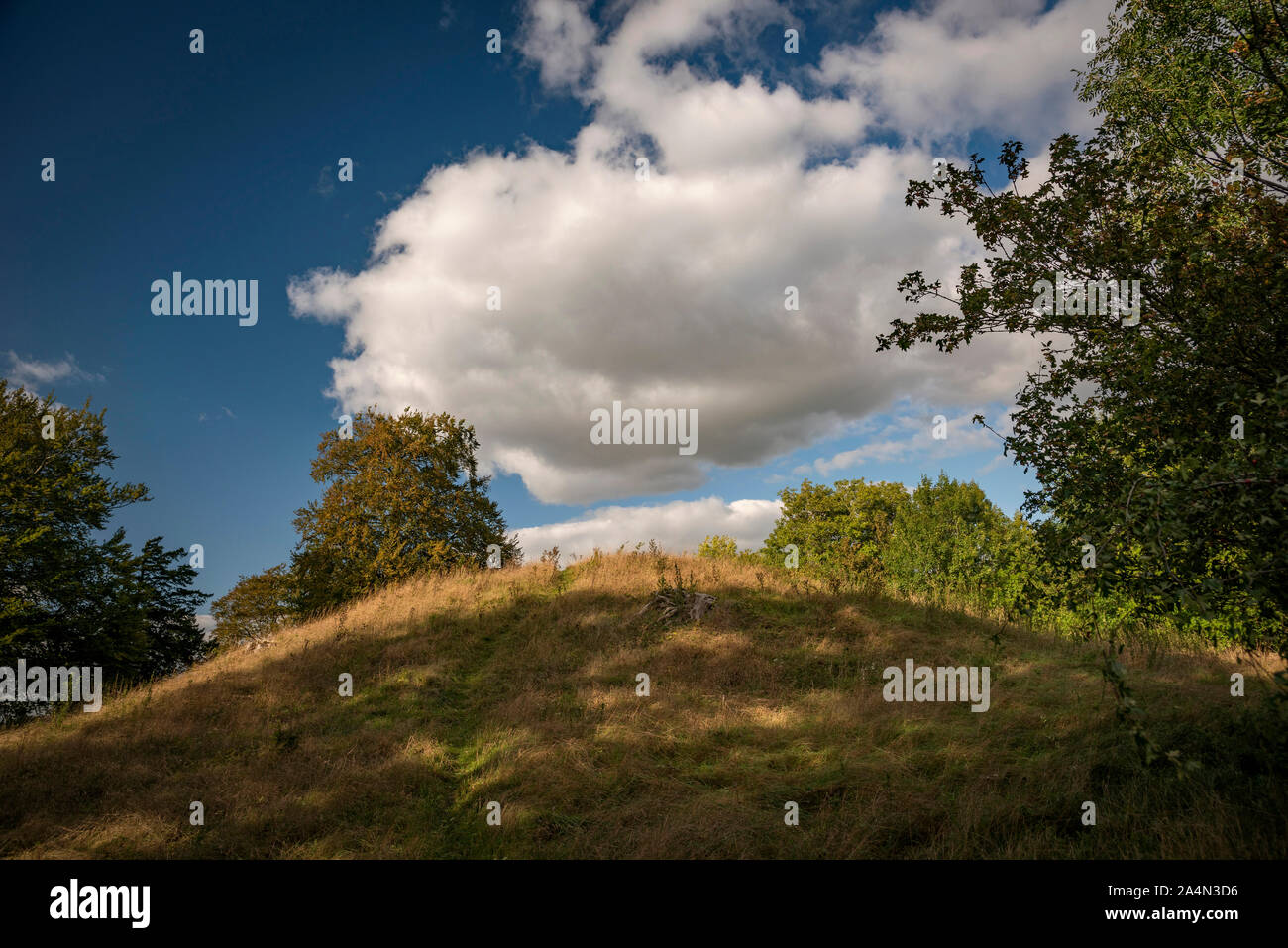 Le nouveau roi des castrats à Stonehenge, plaine de Salisbury, Wiltshire, Royaume-Uni Banque D'Images