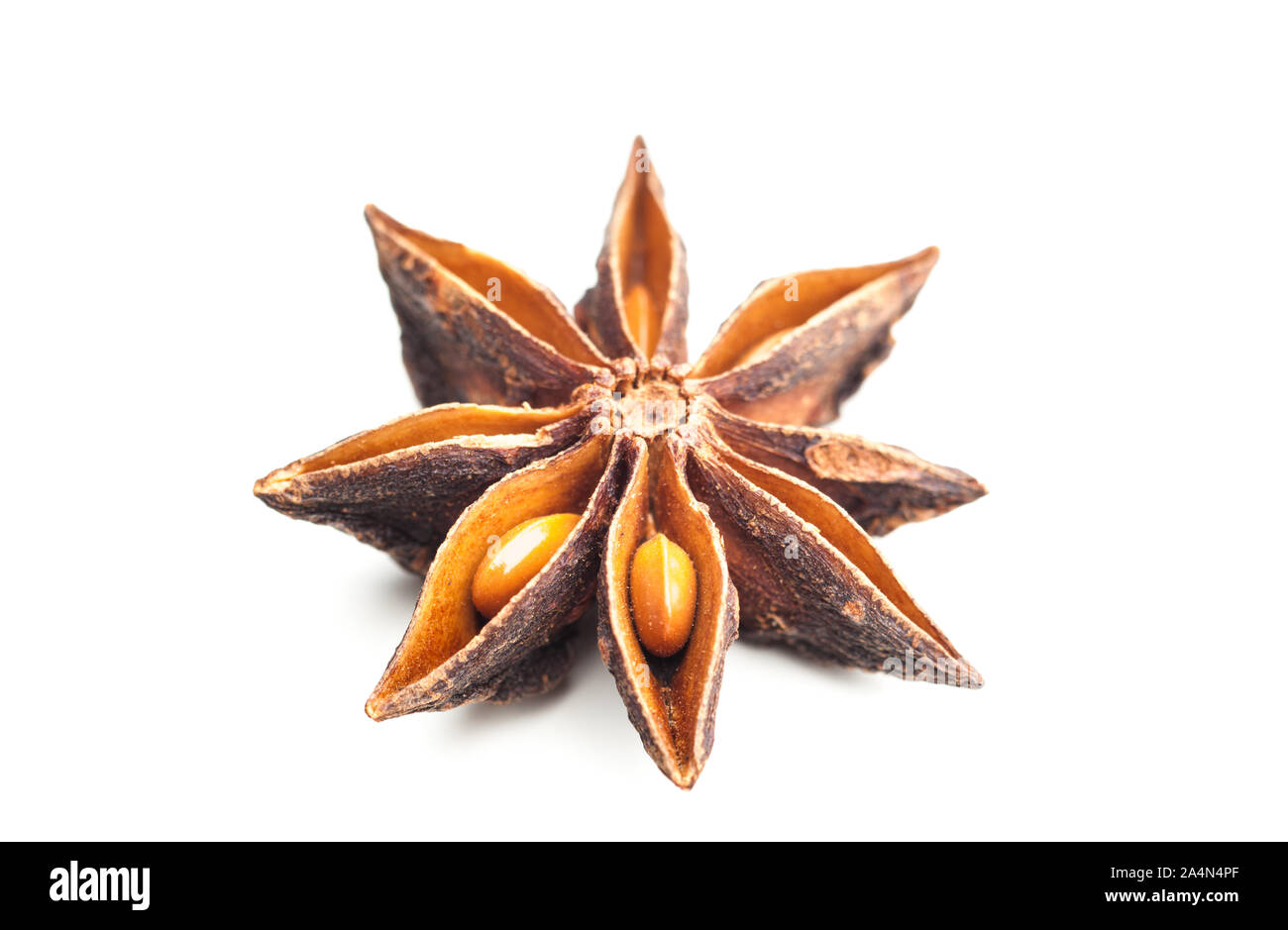 L'anis étoilé isolé sur fond blanc Banque D'Images