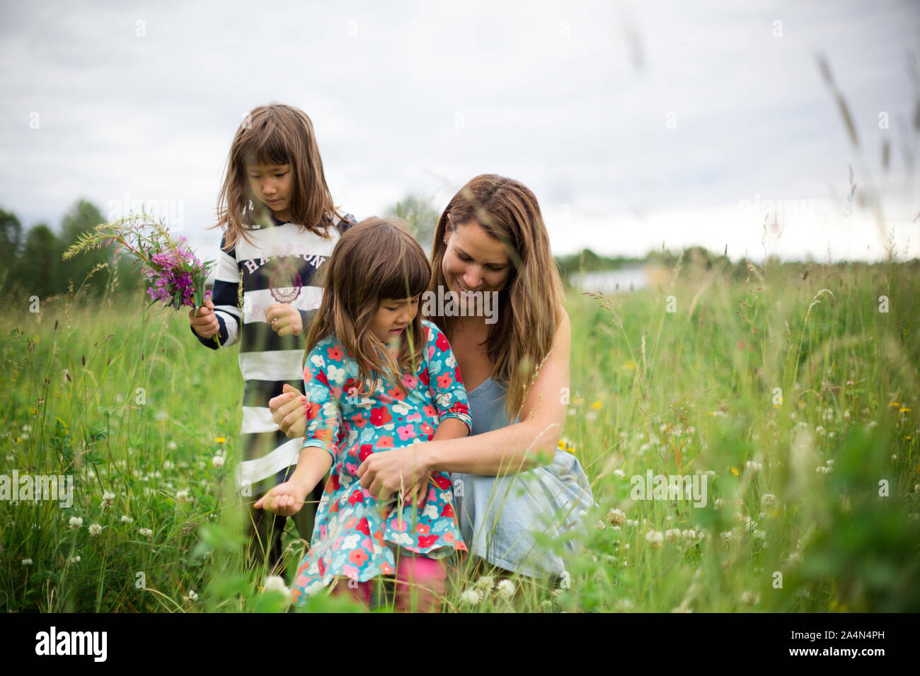 Mère avec ses filles sur meadow Banque D'Images