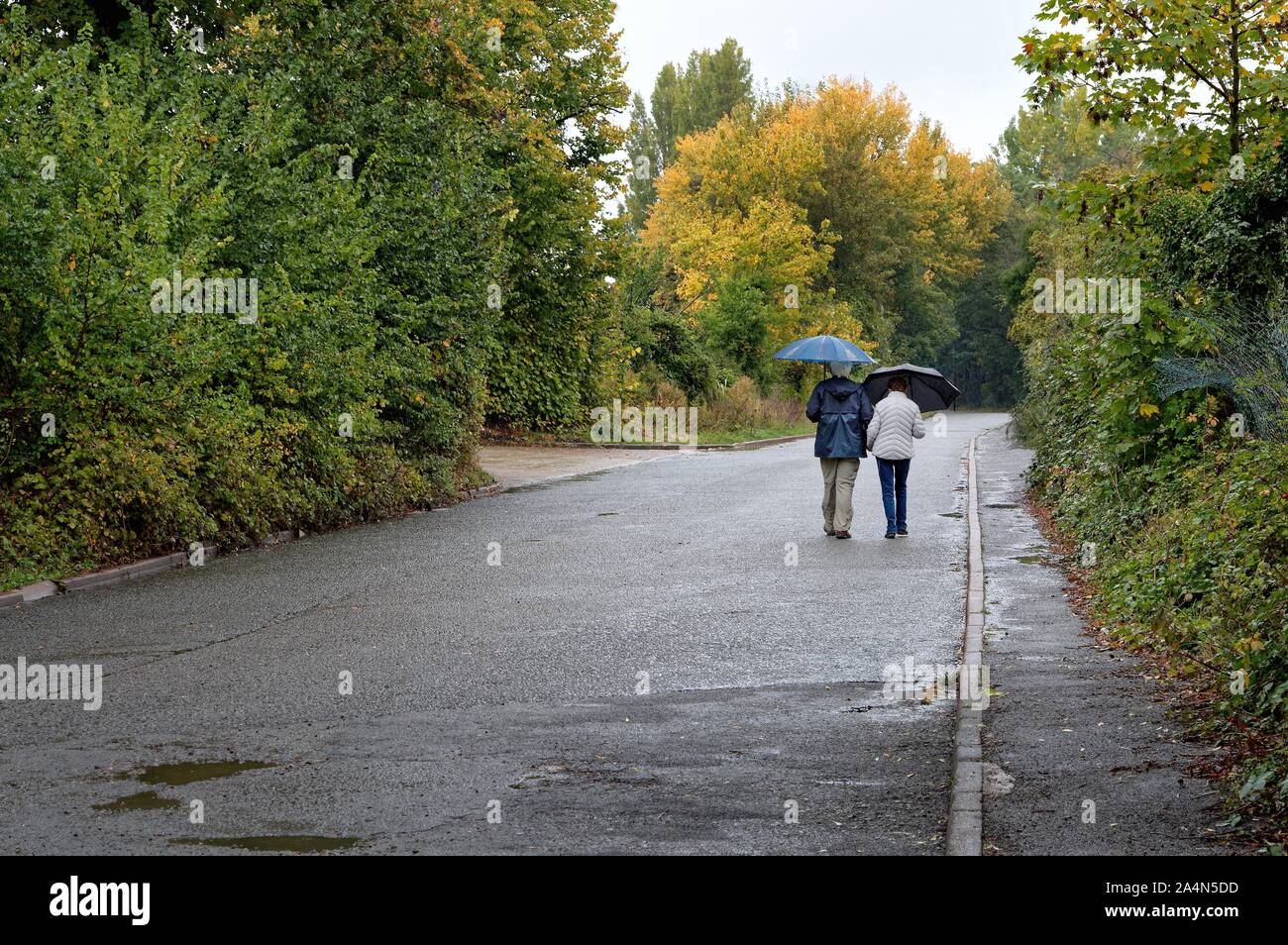 Vue arrière d'un couple de personnes âgées avec umbrella walking in the rain down an empty country road, Shepperton Surrey England UK Banque D'Images
