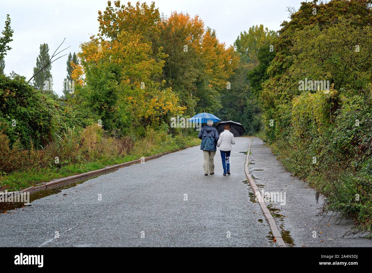 Vue arrière d'un couple de personnes âgées avec umbrella walking in the rain down an empty country road, Shepperton Surrey England UK Banque D'Images